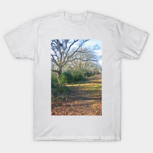 Puck's Dell, North Bournemouth, February 2021 T-Shirt